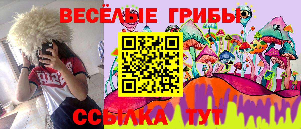 Псилоцибиновые грибы прущие грибы Печора