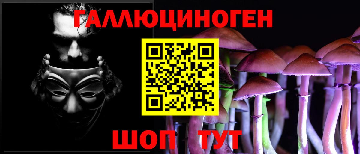 Галлюциногенные грибы Psilocybe  Вход с VPN  Печора 