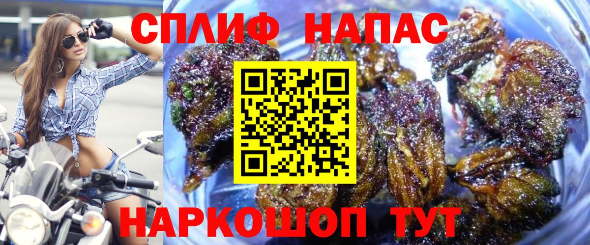Каннабис сатива Печора